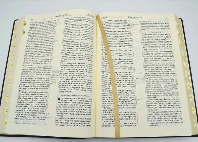 Біблія велика настільна (жовта коробка, чорна) 101-85-10 — мініатюра 4