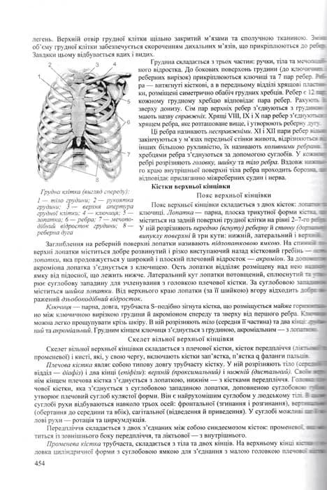 Біологія. Довідник школяра та абітурієнта Барна І. — мініатюра 6