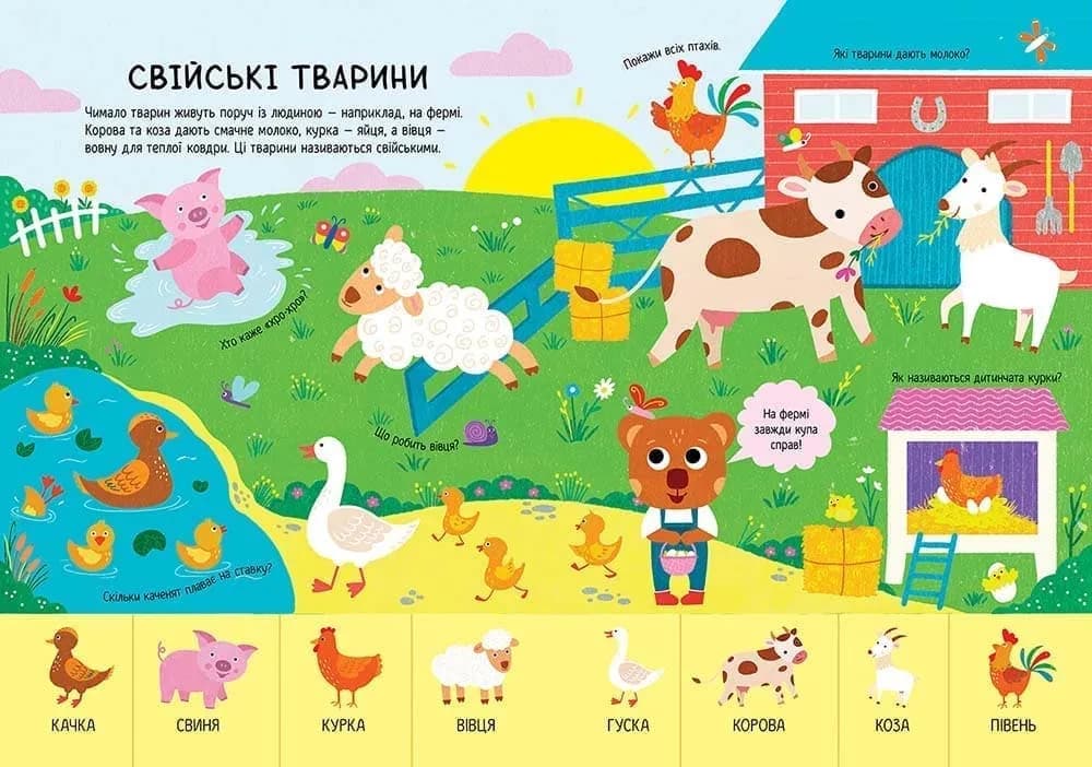 Головна книга малюка. Книга найважливіших знань — мініатюра 5