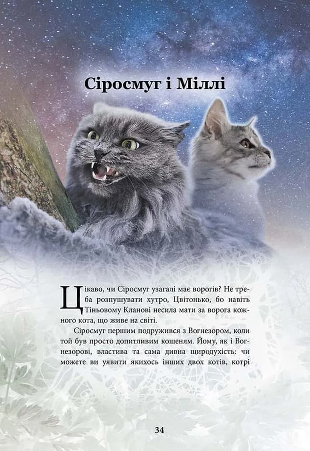 Коти-вояки. Герої кланів. Хроніки Зореклану — мініатюра 6