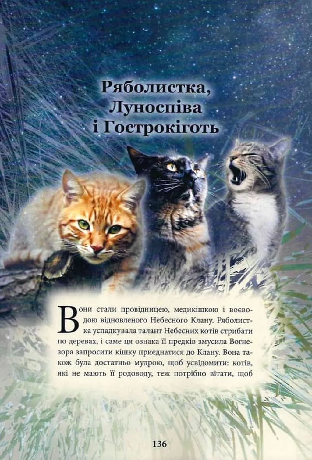 Коти-вояки. Герої кланів. Хроніки Зореклану — мініатюра 8