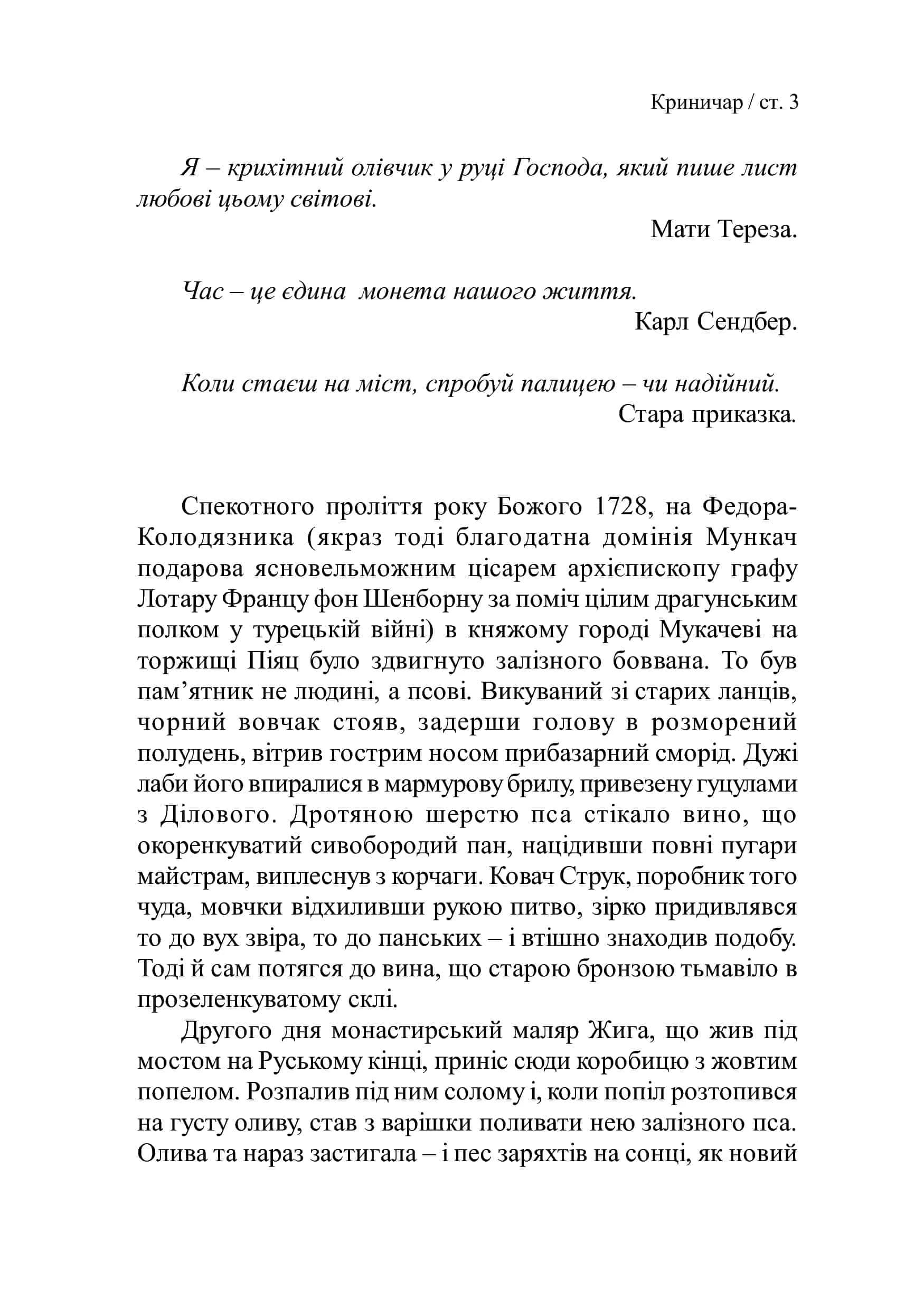 Криничар (м'яка обкладинка) — мініатюра 2