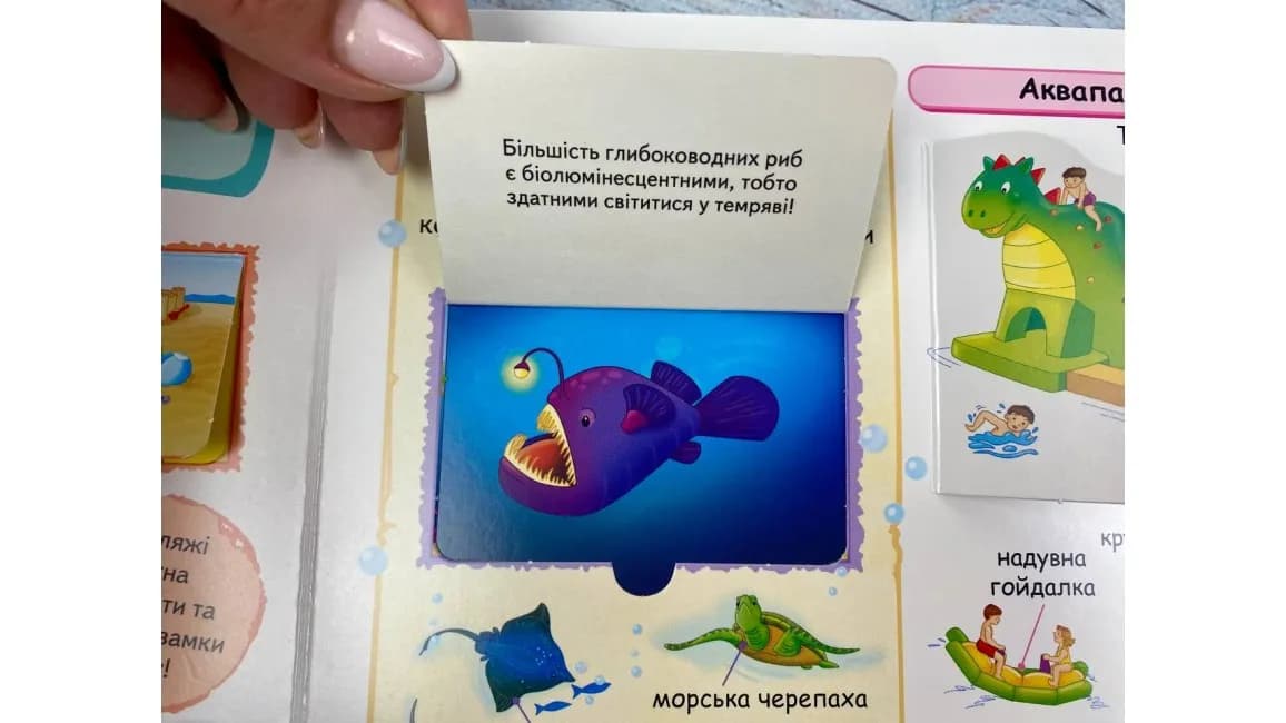 Моя перша енциклопедія. 82 віконця — мініатюра 7