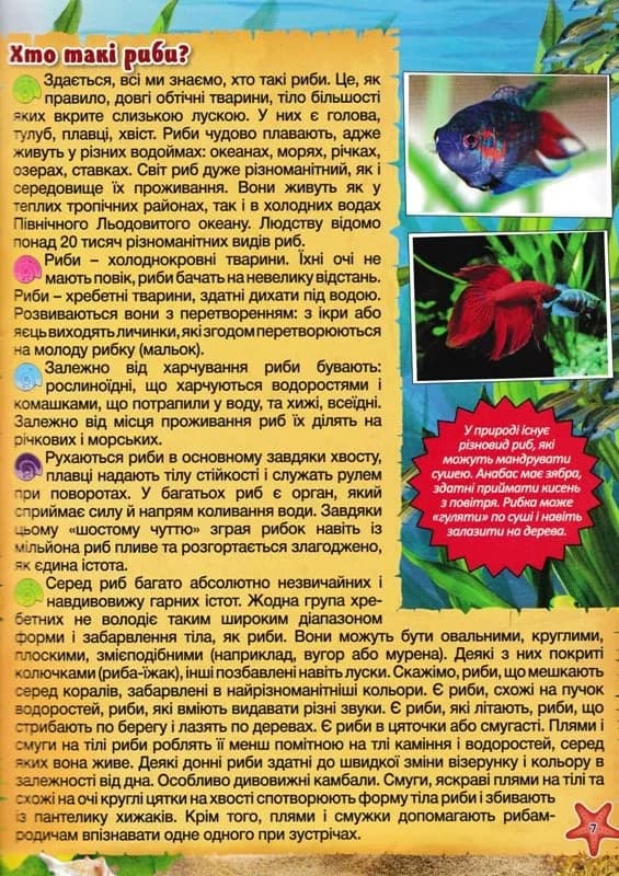 Підводний світ. Велика книга. Дитяча енциклопедія — мініатюра 2