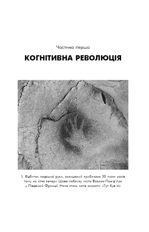 Sapiens: Людина розумна. Коротка історія людства — мініатюра 7