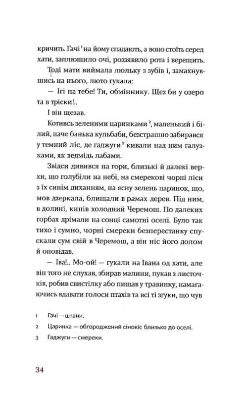 Тіні забутих предків. Новели — мініатюра 7