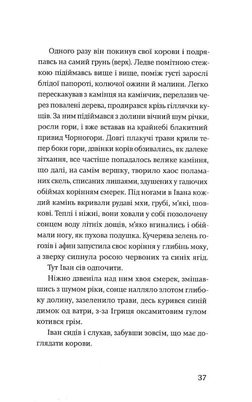 Тіні забутих предків. Новели — мініатюра 10