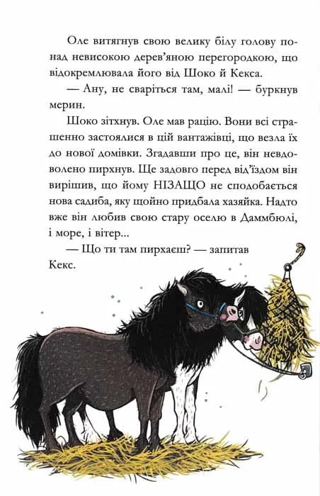 Вітер у гривці. Вівсяна банда. Книга 1 — мініатюра 3