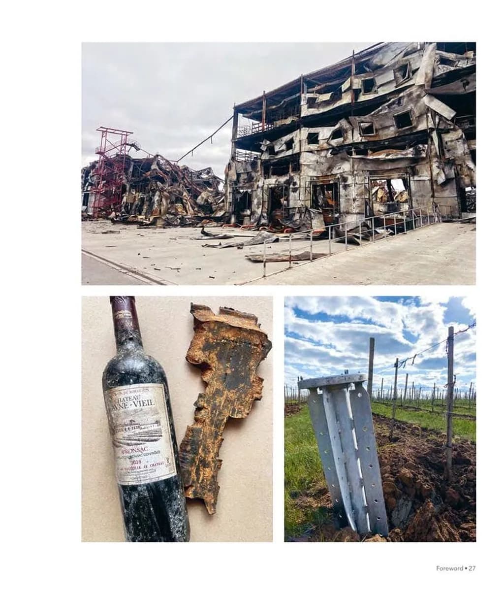 Wines of Ukraine. The Untold Story — мініатюра 4