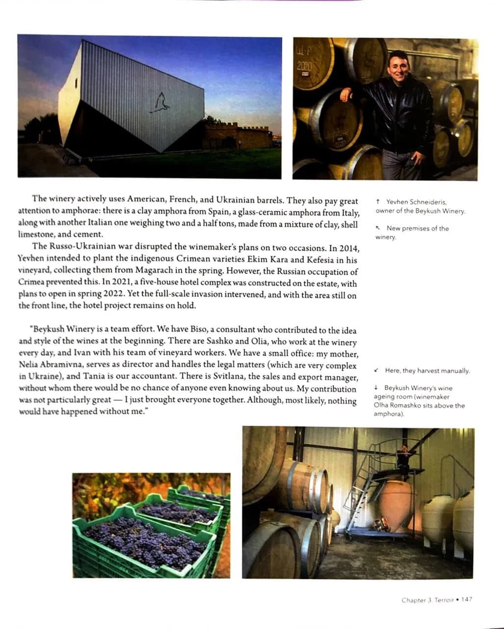 Wines of Ukraine. The Untold Story — мініатюра 6