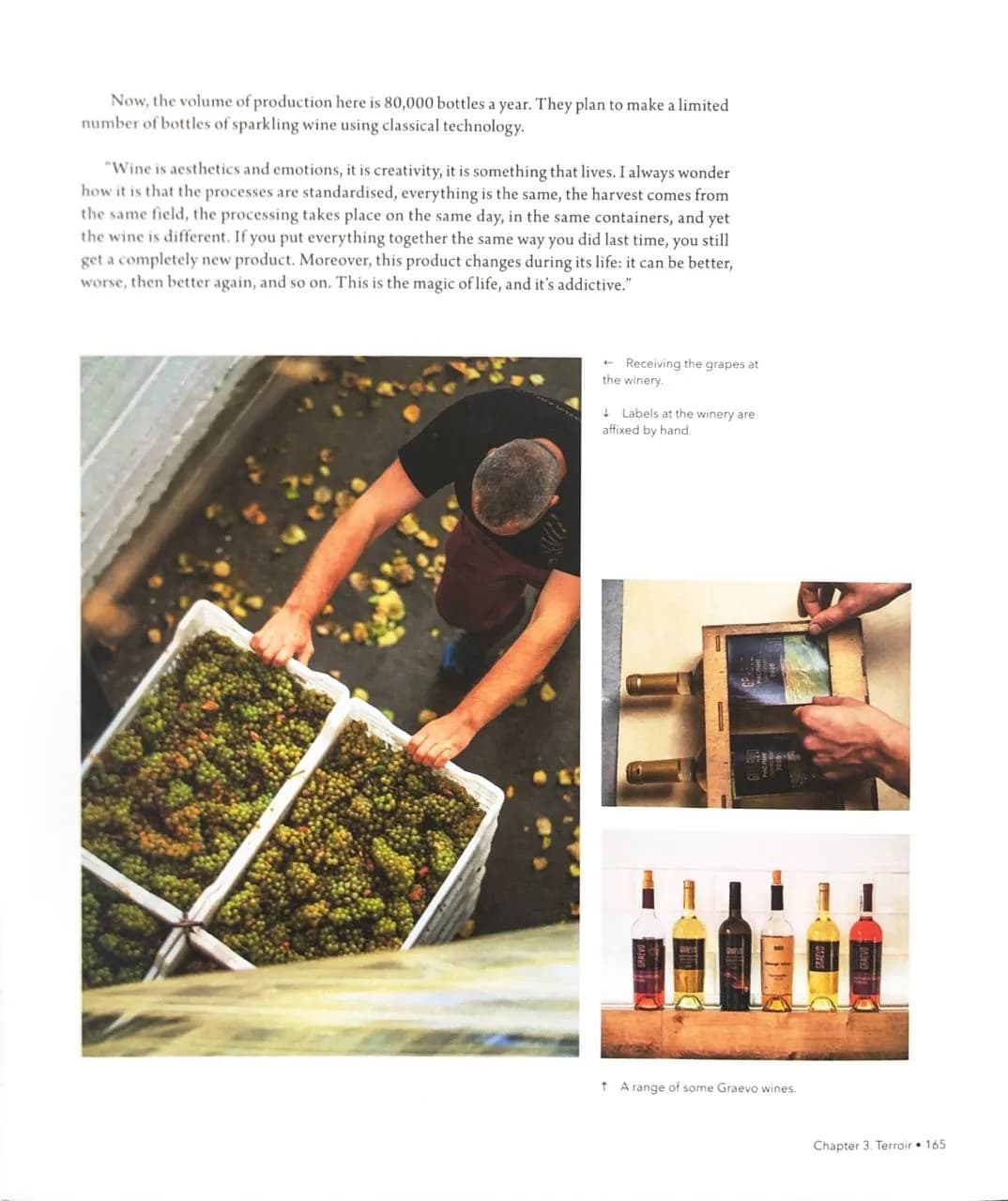 Wines of Ukraine. The Untold Story — мініатюра 7